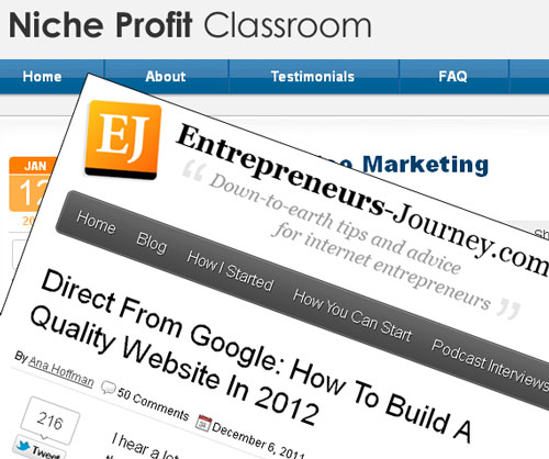 2012-niche-website-entrpreneurs-journey