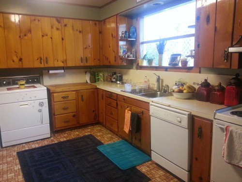 This old house: Words can't express how much I hate this kitchen!
