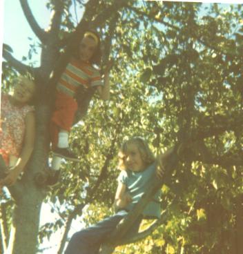 Cath, Carol and Deanna in our backyard tree Cath, Carol and Deanna in our backyard tree