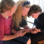 Baby turkey poults. Raising turkey poults.