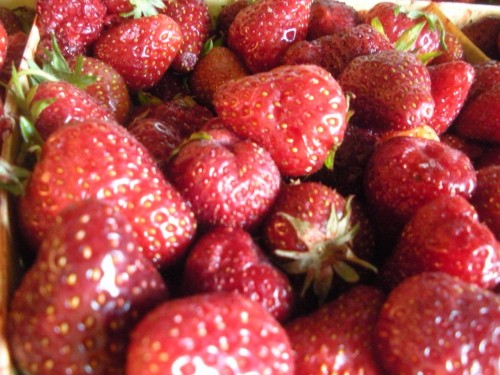 Making the Most of Seasonal Eating: Strawberries from the vineyard garden Making the Most of Seasonal Eating: Strawberries from the vineyard garden
