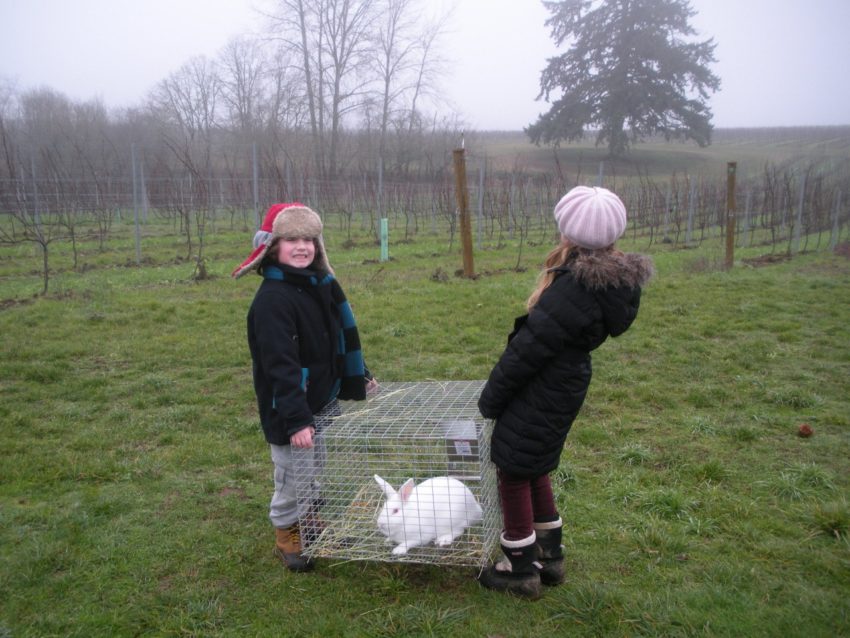The kids, Jack the rabbit living the American Dream
