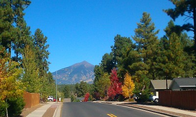 My running route. Flagstaff, Arizona