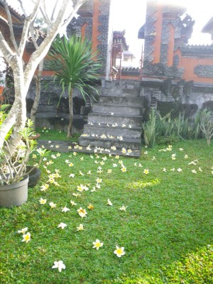 Fall-in-Bali Fall-in-Bali