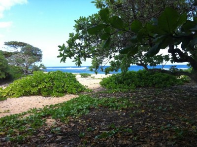Hawaii Private Beach Work from Anywhere