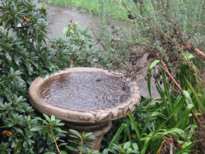 Rain storms in Sonoma County California