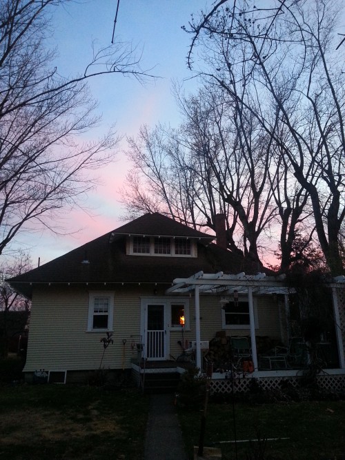 Midlife Motivation: The 1-Step Solution - Huge trees loom over my house.