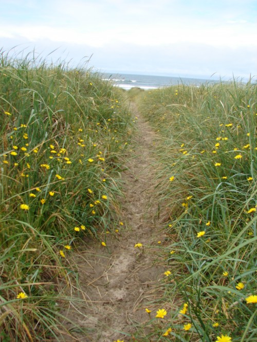 Starting Over At Midlife: A Fresh Look at Resolutions One step at a time starting a new path