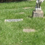Memorial Day Reflections Of Dreams Cut Short 