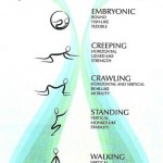 Are You Crawling Toward Your Dream?