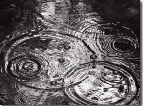 Raindrops Falling Formering Circular Shapes Raindrops Falling Formering Circular Shapes by Images Monsoon