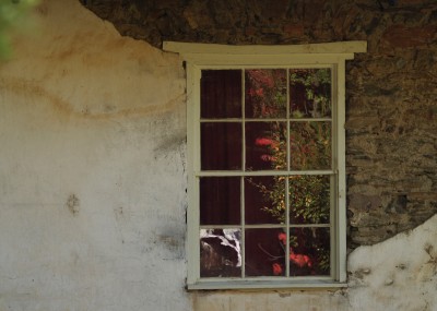 Fall window in Northern california