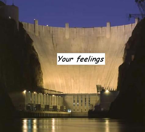 Your feelings work like a damn to your dream progress Your feelings work like a damn to your dream progress