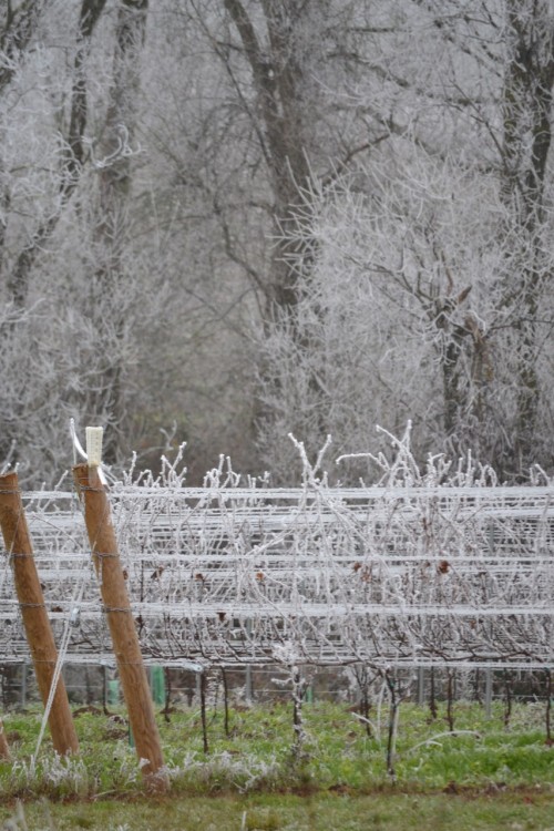 dreamy country holiday scene