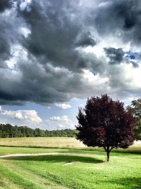 Storm on the farm. Watching the clouds roll in, seeing the rain, hearing it is similar to the crash of waves on the beach.