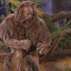 Cowardly Lion looking for courage