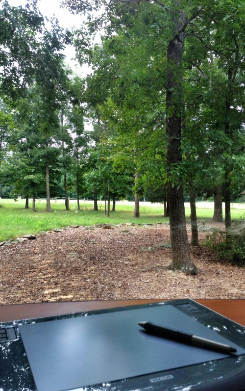 iPhone photos of life on a farm, the view Room with a view