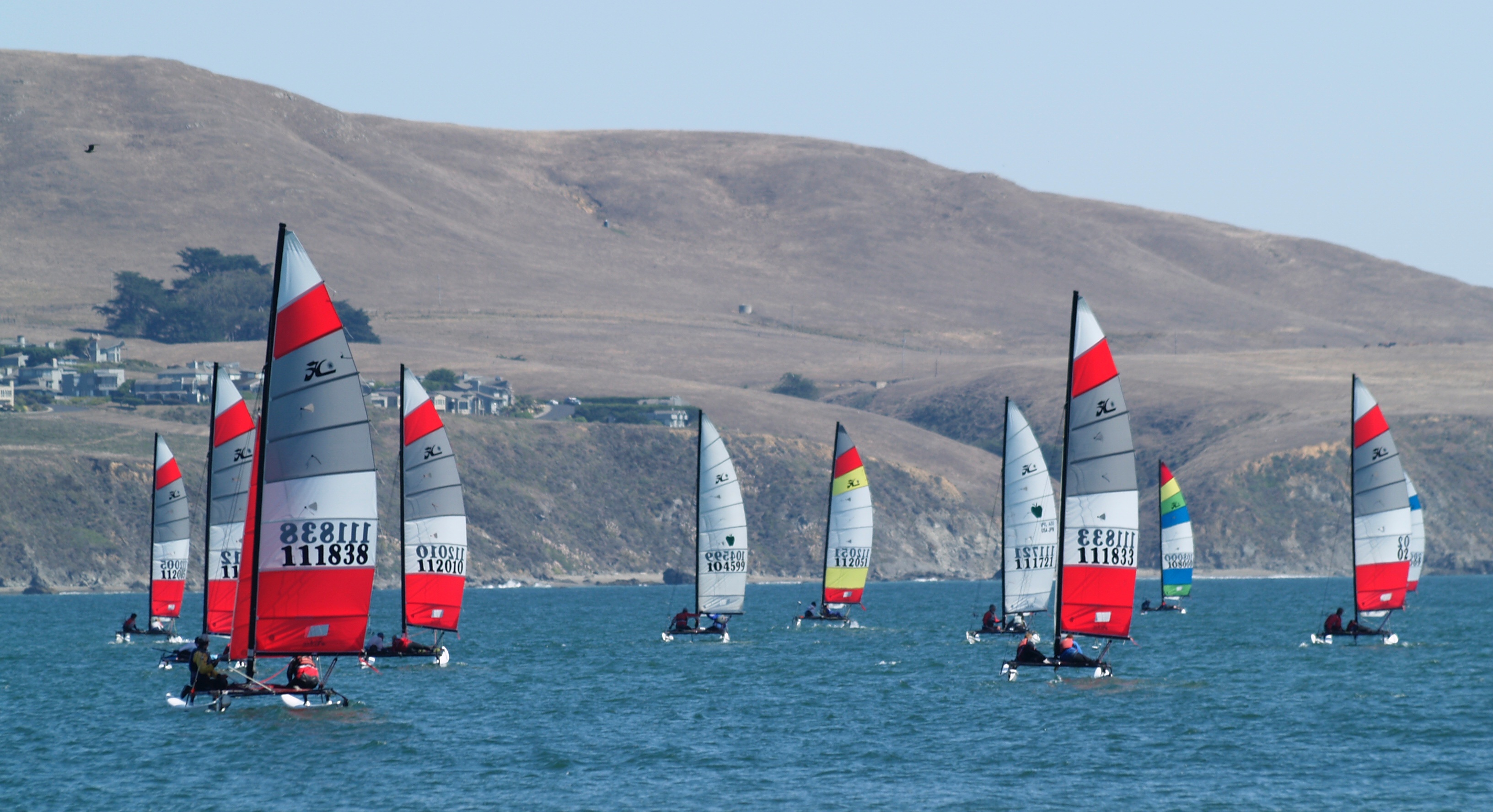 Photography Network: Bodega Bay Hobie Cat Boat Regatta Photography Network: Bodega Bay Hobie Cat Boat Regatta