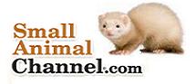 Small Animal Channel.com Ferrets USA Photo Contest 2012