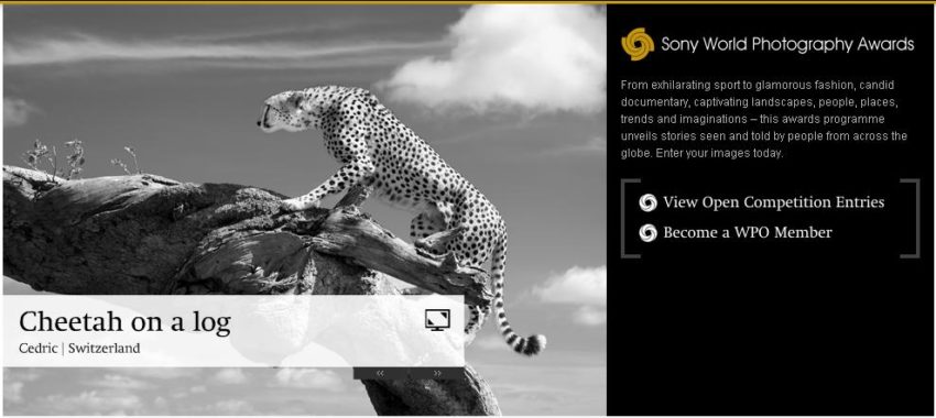 sony world photography awards Teh sony world photography awards