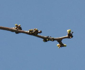 spring brings change