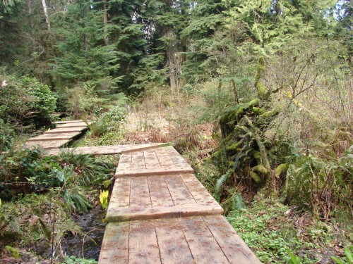 How to Write a Book in 10 Days: Uneven Path to making your dreams come true